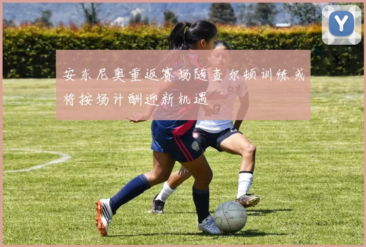 安东尼奥重返赛场随查尔顿训练或将按场计酬迎新机遇