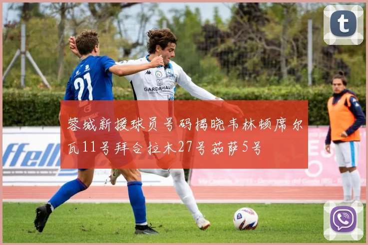蓉城新援球员号码揭晓韦林顿席尔瓦11号拜合拉木27号茹萨5号